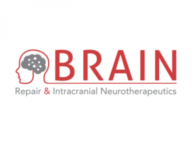 BRAIN Unit