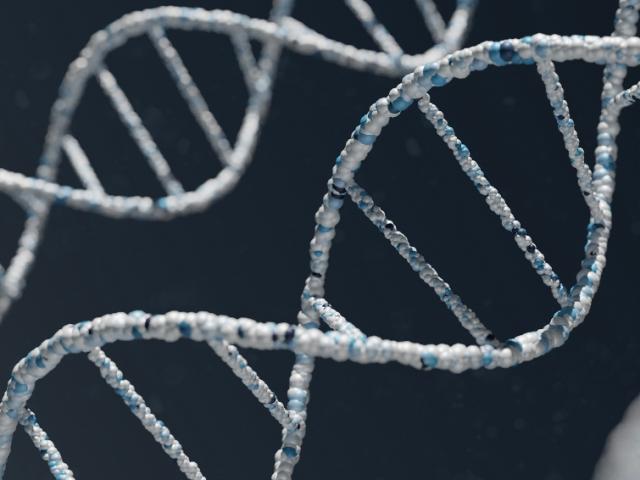 strands_of_DNA