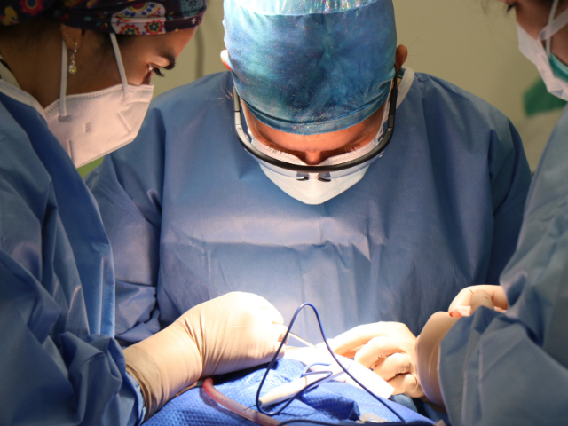 surgery