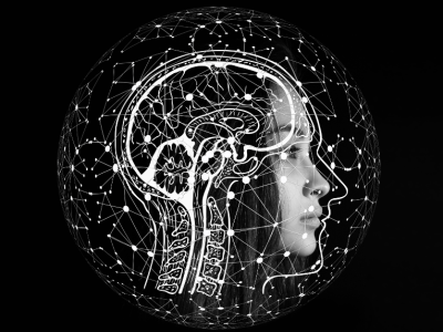 Brain