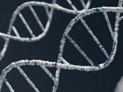strands_of_DNA