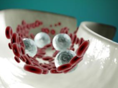 a_reprsentation_of_cells_inside_an_artery
